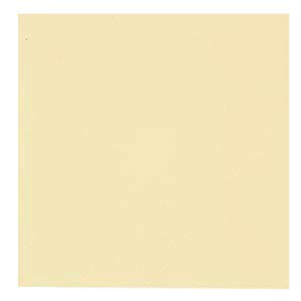 GASTRO lautasliina 24x24 2krs ¼-taitto 4000-arkkia/Tukkulaatikko