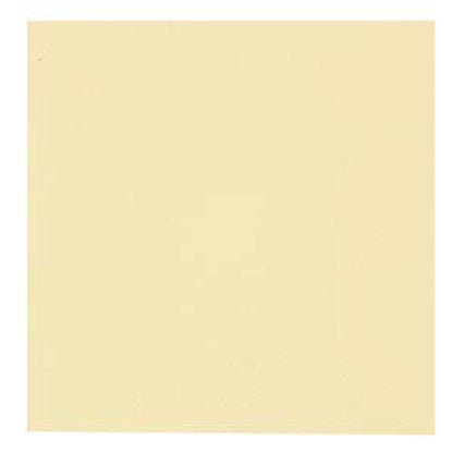 GASTRO lautasliina 24x24 2krs ¼-taitto 4000-arkkia/Tukkulaatikko