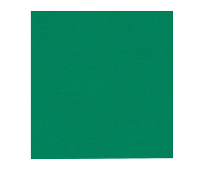 GASTRO lautasliina 24x24 2krs ¼-taitto 4000-arkkia/Tukkulaatikko